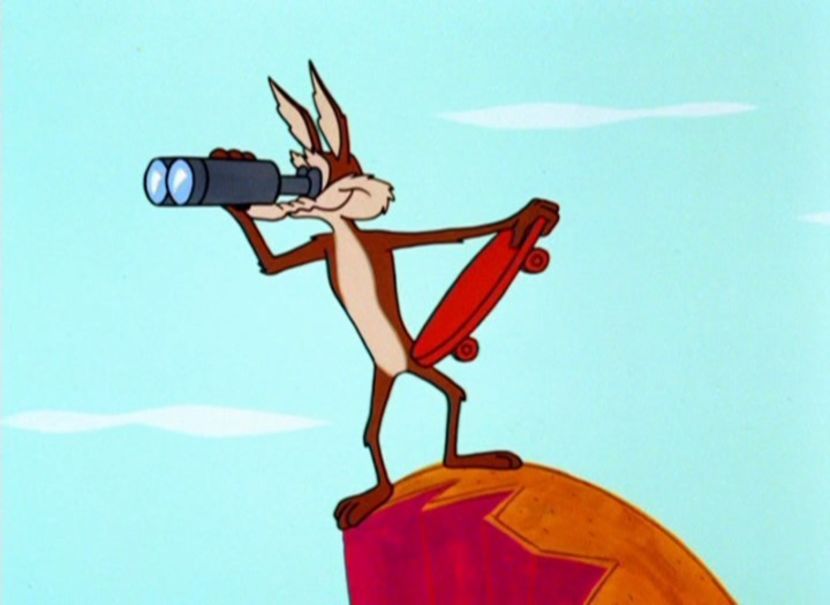 Road Runner and Wile E Coyote - Road Runner and Wile E Coyote