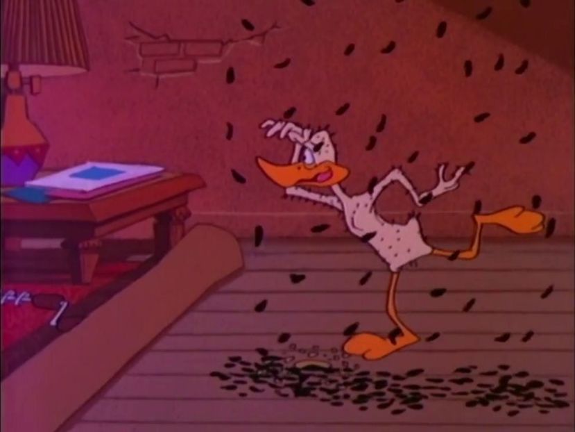 Looney Tunes - Looney Tunes