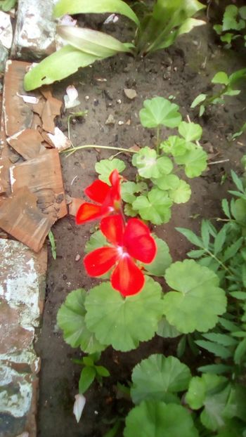 IMG-20180701-WA0128 - 2020
