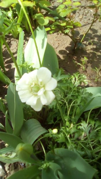 IMG-20190427-WA0002 - 2020