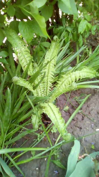 IMG-20190427-WA0008 - 2020