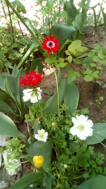 IMG-20190430-WA0000 - 2020