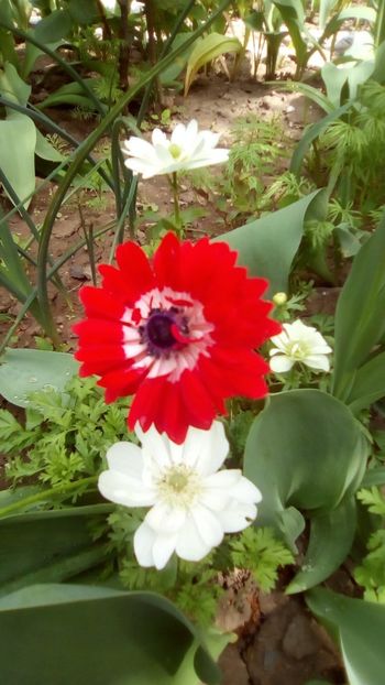 IMG-20190430-WA0007 - 2020