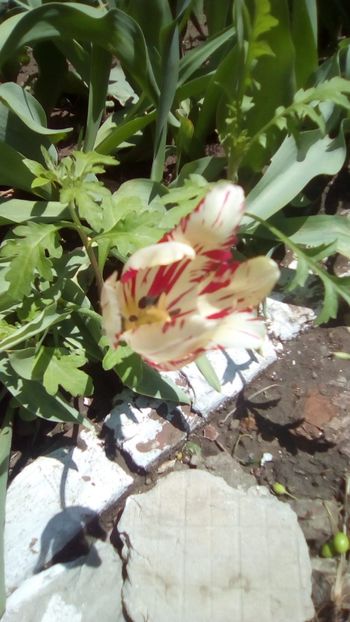 IMG-20190502-WA0001 - 2020