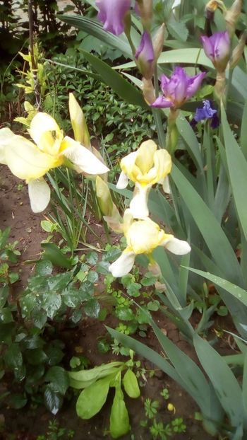 IMG-20190516-WA0013 - 2020