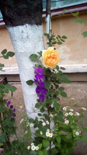 IMG-20190604-WA0003 - 2020