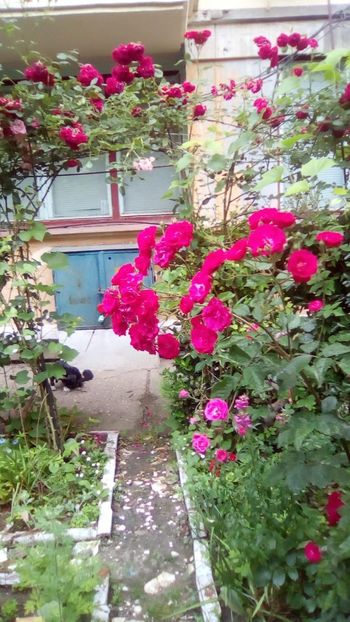 IMG-20190604-WA0018 - 2020