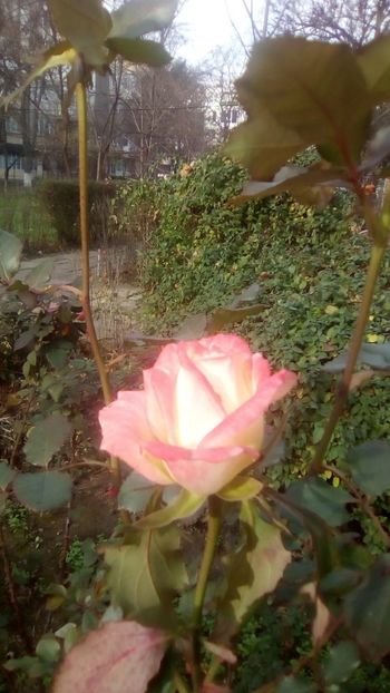 IMG-20191221-WA0001 - 2020