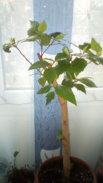 IMG-20191227-WA0009 - 2020