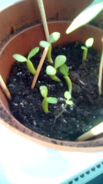 IMG-20200104-WA0003 - 2020