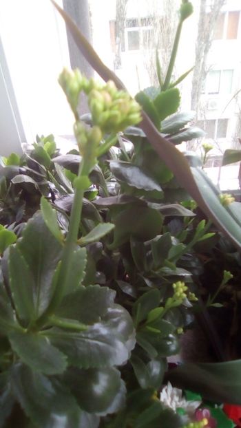 IMG-20200106-WA0000 - 2020