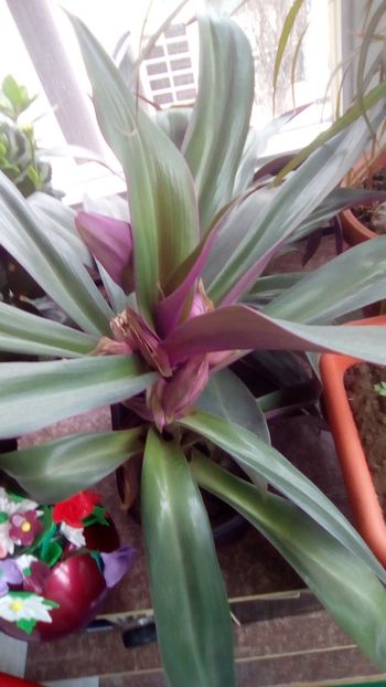 IMG-20200106-WA0002 - 2020