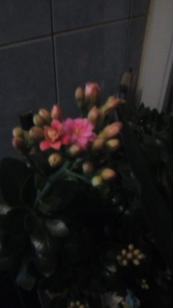 IMG-20200211-WA0007 - 2020