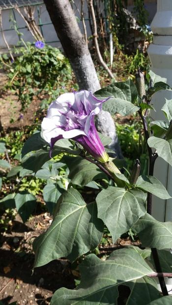 IMG-20200926-WA0005 - De prin gradinita 2