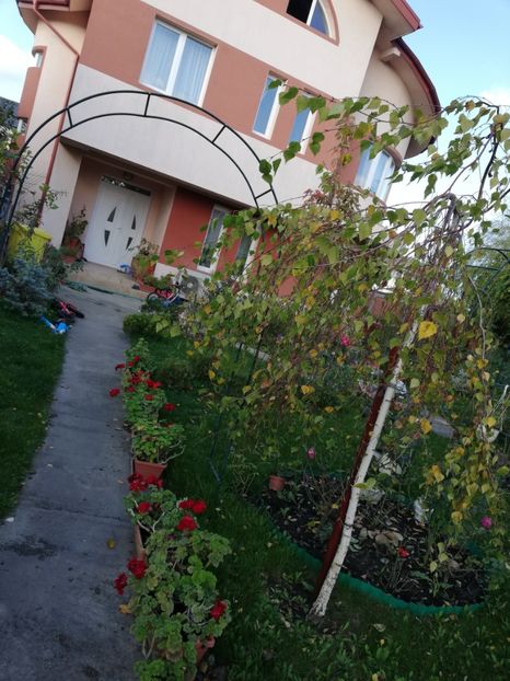  - Gradina octombrie 2020