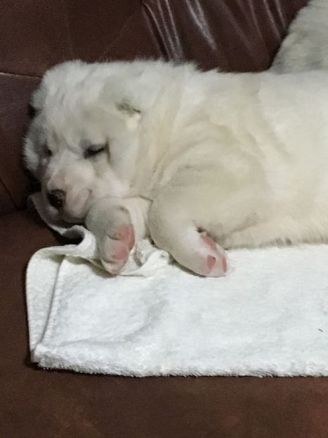 C7801920-4FD0-47EC-9288-92C9F192223C - Masha