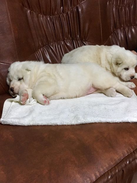 063790A3-6196-4286-8302-78DAAEAFF652 - Masha