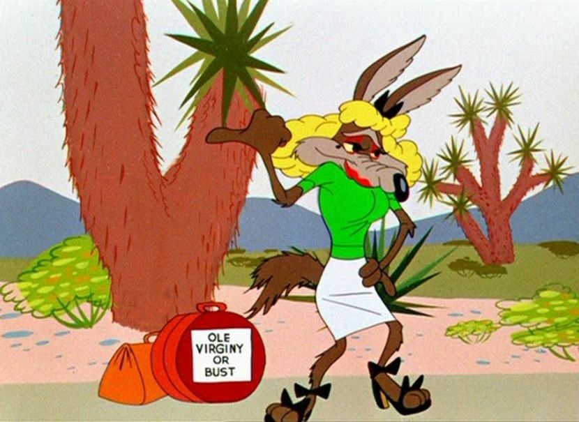 Road Runner and Wile E Coyote - Road Runner and Wile E Coyote