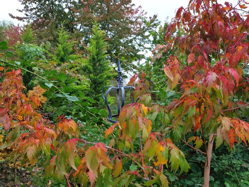 Wabito - 2020_Artari