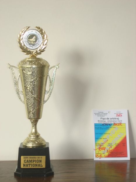  - EXPOZITIE RO NATIONALA 2010