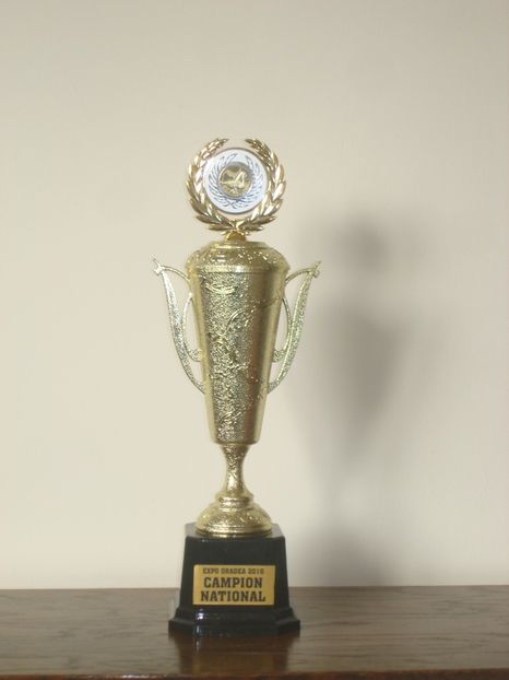  - EXPOZITIE RO NATIONALA 2010