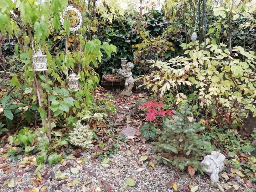  - Grădina 2020 continuare 2