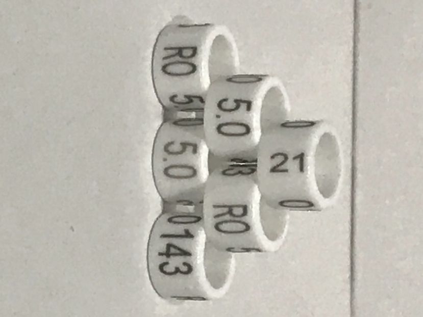 B0B453DD-5C33-461C-8D94-F128450F266C - 00 Inele Ornament RO 2021