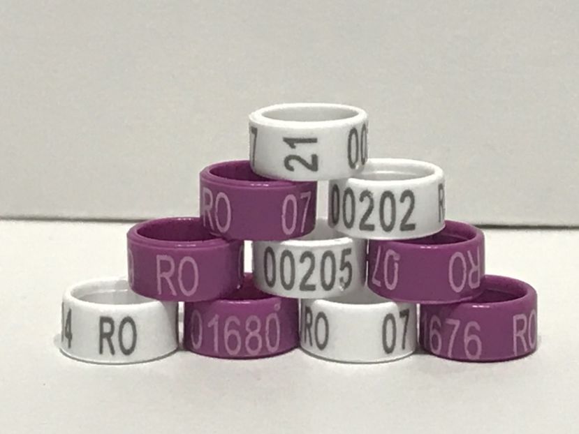 1FC98BC7-5725-428B-9E3A-FEFB5AFF9F5E - 00 Inele Ornament RO 2021