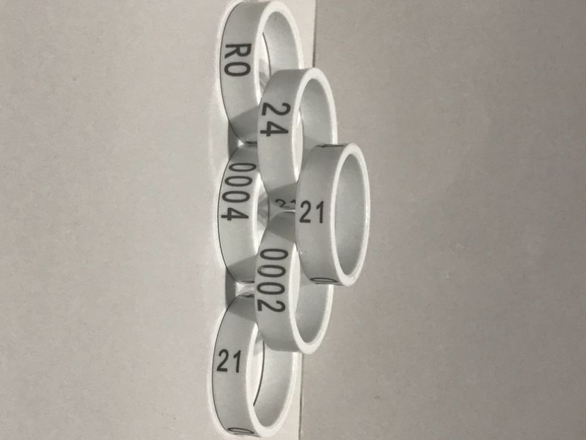 8083B12A-6FAB-4869-B196-0EE151ABE9AE - 00 Inele Ornament RO 2021