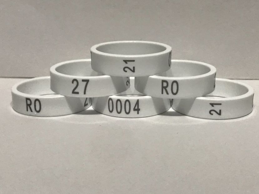 224829F7-C865-47C1-AD9B-65F0C02ECD98 - 00 Inele Ornament RO 2021