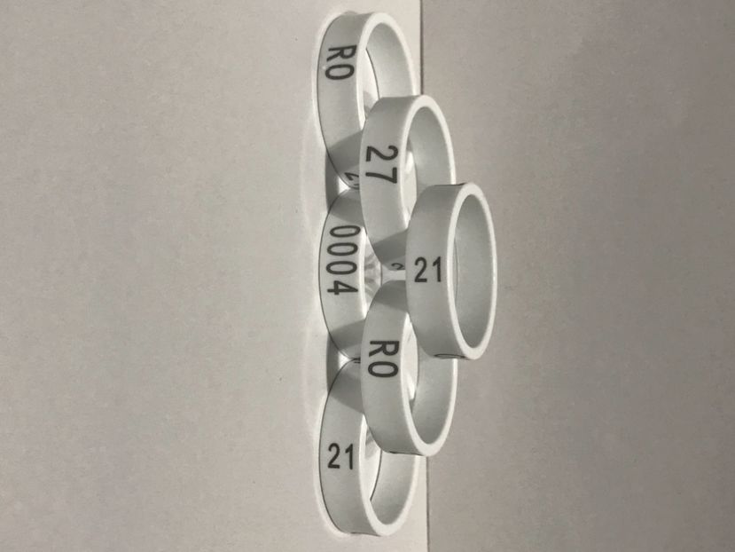 2AEC86A8-8285-450E-B4EB-8C2840D19DB9 - 00 Inele Ornament RO 2021