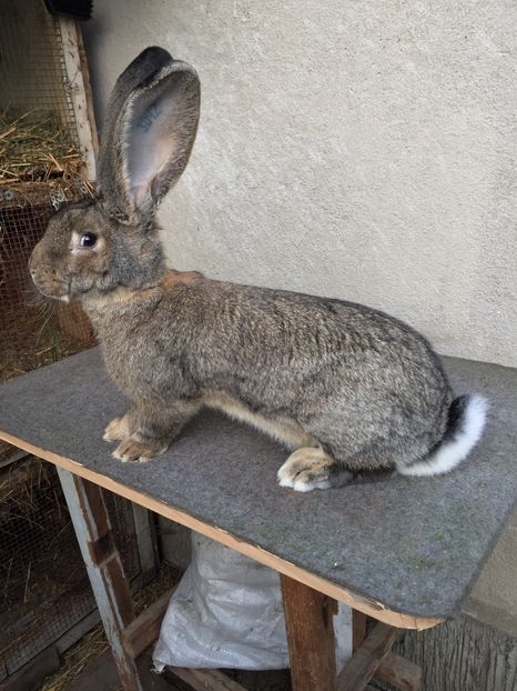 DC09D68F-B2B8-4B6C-9D82-55EA5191C280 - RO 8-3042