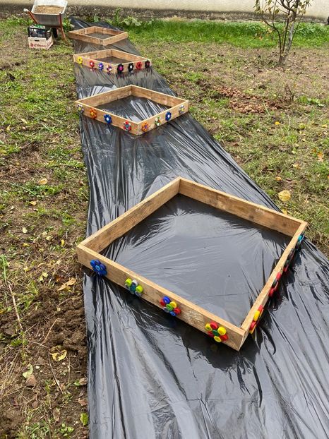 4DF1E693-E4A9-4521-99E2-5482A3888EC5 - Idei puse in practica 2020