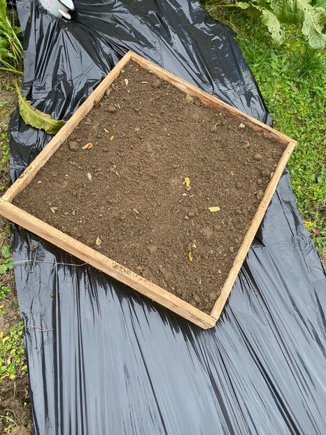 68AC9B9D-5F4C-42E2-9995-458422B123D6 - Idei puse in practica 2020