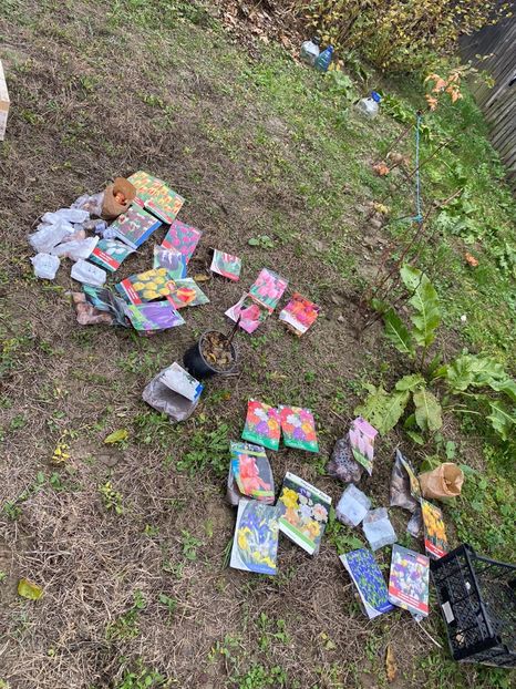 DCD11D22-7741-4499-A707-DE209F89FCD8 - Idei puse in practica 2020