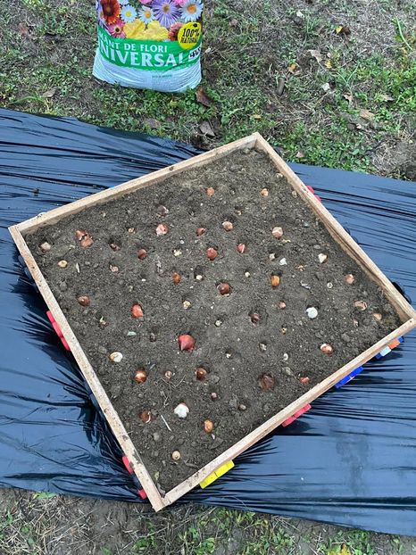 F0695FA1-350B-429B-9CED-78125C19F490 - Idei puse in practica 2020