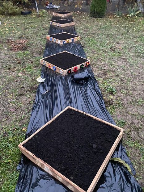 7EF8B04A-88A5-4FB0-A3D1-3B4F96A69A91 - Idei puse in practica 2020