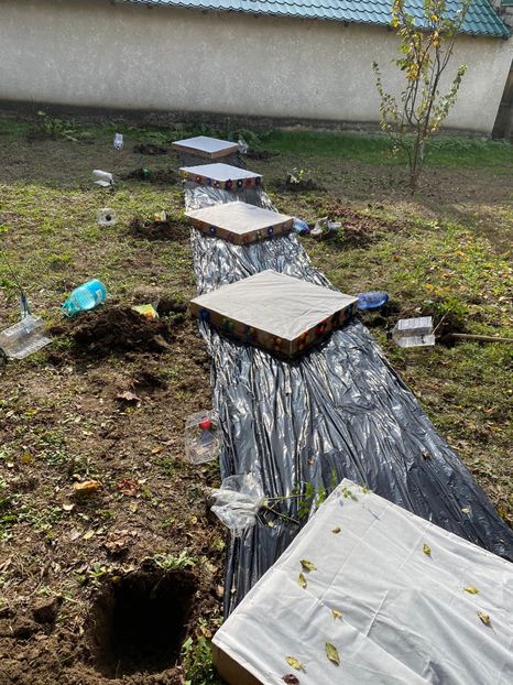 5C5241E2-83D9-4190-A440-D3E1AE2B6400 - Idei puse in practica 2020