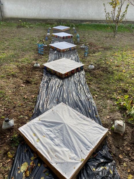 2036D77D-3AE1-4D87-B101-C1157E389C33 - Idei puse in practica 2020