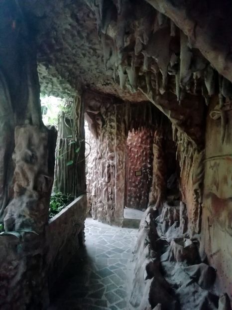  - 2020 Gradina botanica Jibou