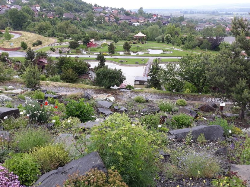 IMG-20200531-WA0012 - 2020 Gradina botanica Jibou