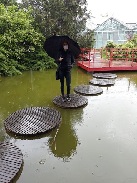 IMG-20200531-WA0021 - 2020 Gradina botanica Jibou