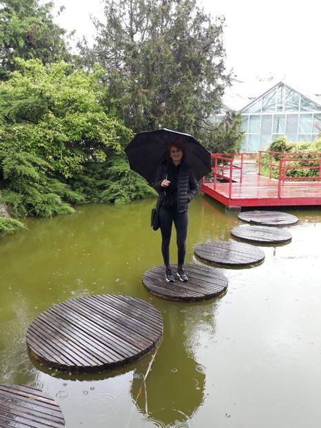 IMG-20200531-WA0022 - 2020 Gradina botanica Jibou