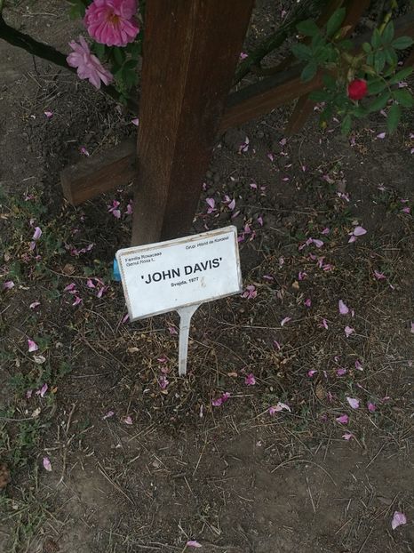  - 2020 Gradina botanica Iasi