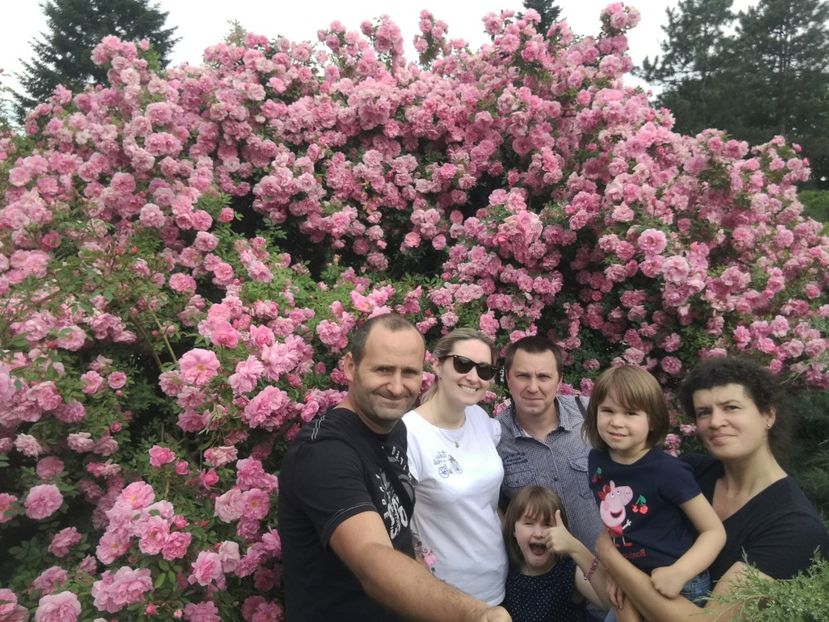  - 2020 Gradina botanica Iasi