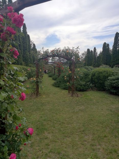  - 2020 Gradina botanica Iasi