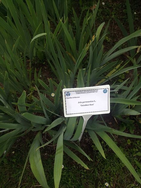  - 2020 Gradina botanica Iasi