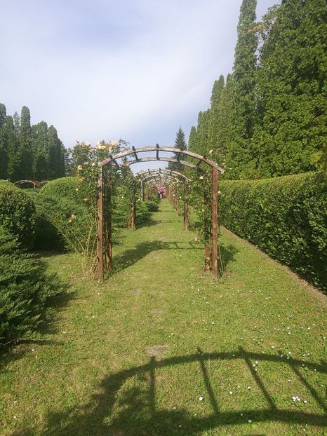  - 2020 Gradina botanica Iasi