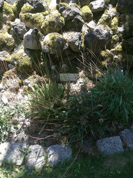  - 2020 Gradina botanica Regensburg