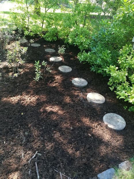  - 2020 Gradina botanica Regensburg